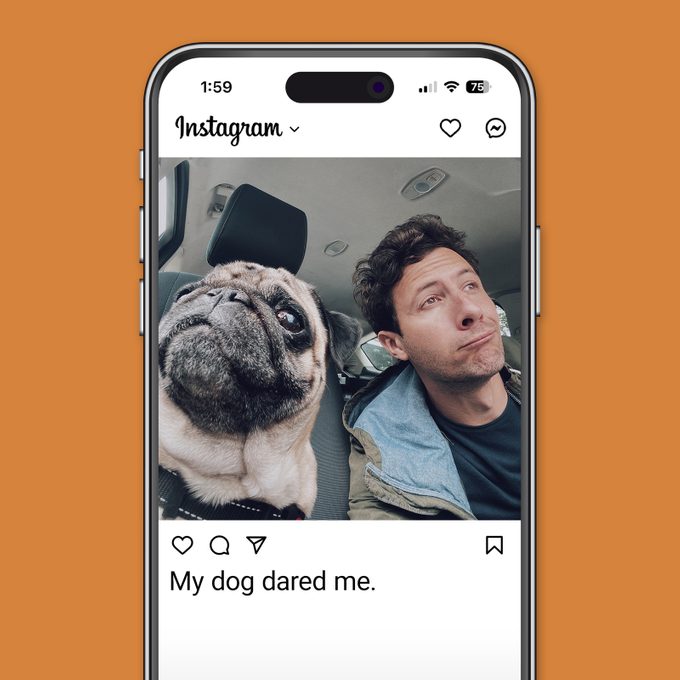 Best Selfie Captions For Gram Worthy Pictures Instagram app on orange background funny dog in car