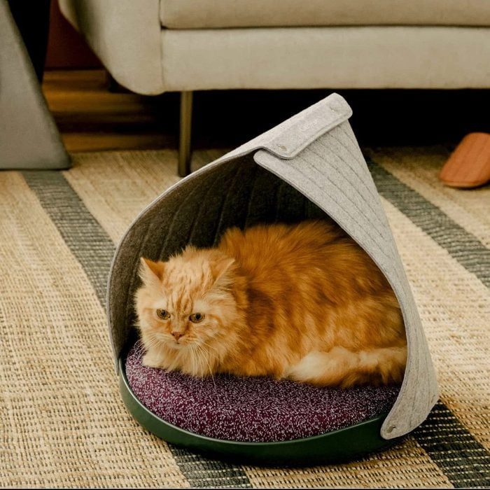 Cat resting inside a gray felt dome, lying on a purple mat, situated on a patterned rug in a living room.