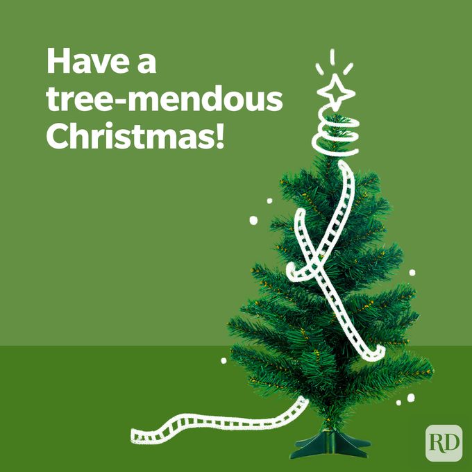 Christmas Jokes And Puns. Tree-mendous Christmas pun