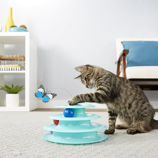 Cat plays with tiered ball toy while a butterfly on a wire hovers nearby; living room setting with white shelves and a chair.