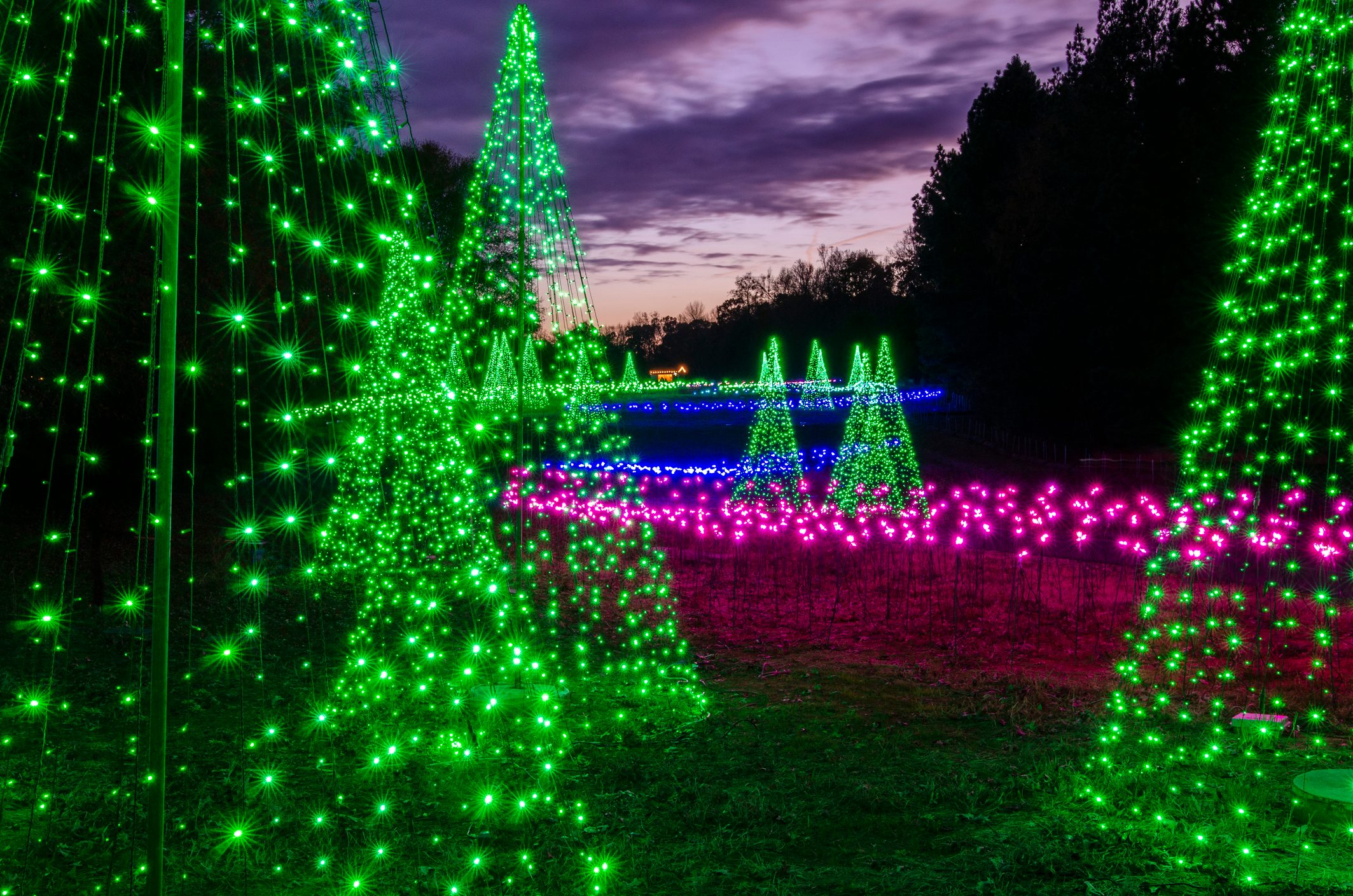 Daniel Stowe Botanical Garden During Holidays at the Garden