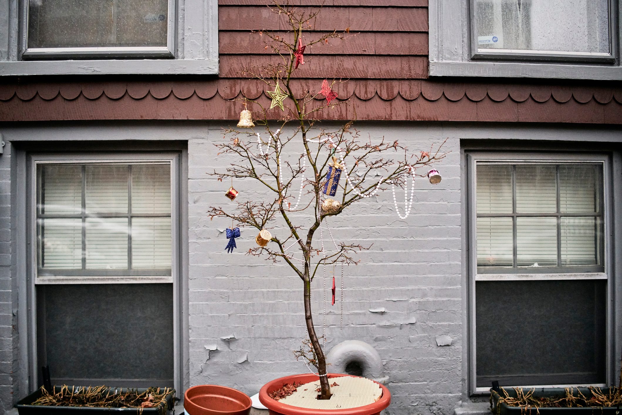 Non-Traditional Christmas Tree