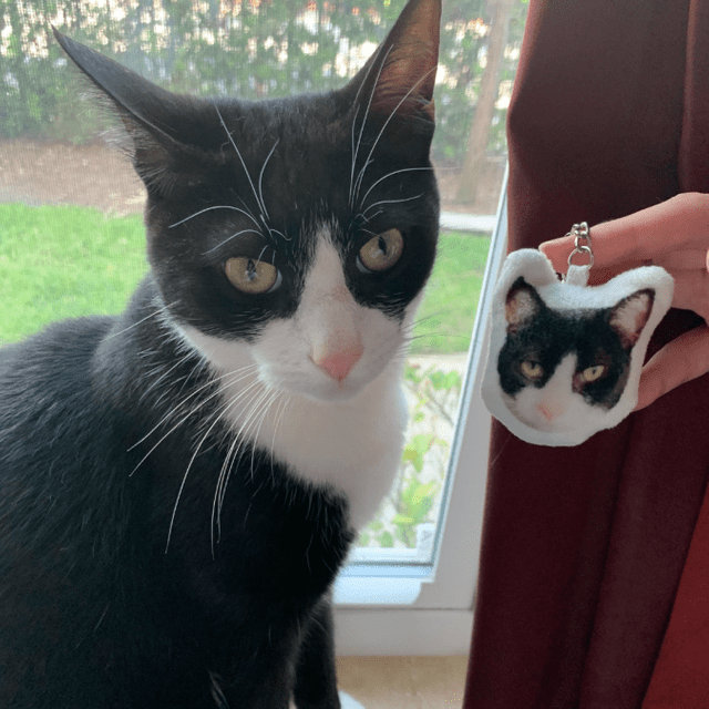 A black-and-white cat sits by a window while someone holds a matching keychain featuring the cat's face.