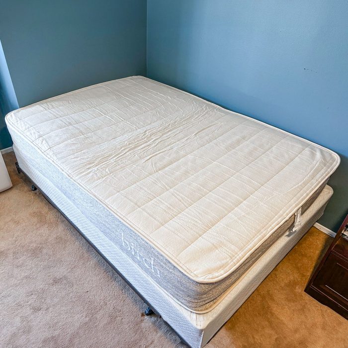 Mattress lies on a bed frame in a room with blue walls and carpeted floor. 