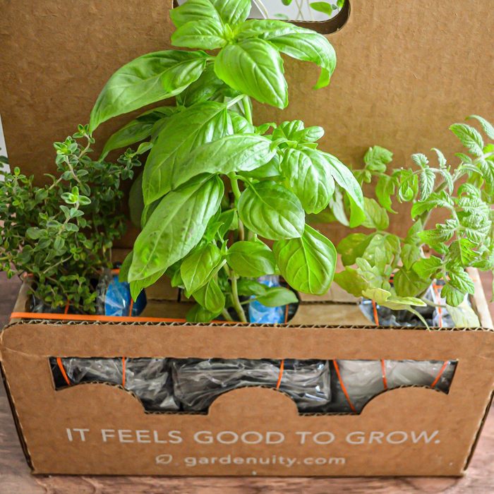 Herb plants grow inside a cardboard box, surrounded by packaging materials, with text 
