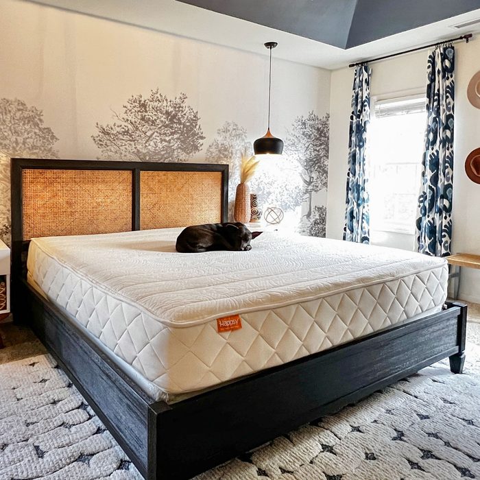 Dog sleeps on a large, white mattress in a cozy bedroom with patterned curtains and tree mural wallpaper.