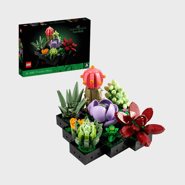 LEGO succulents are arranged colorfully on black bases; a box displays the set.