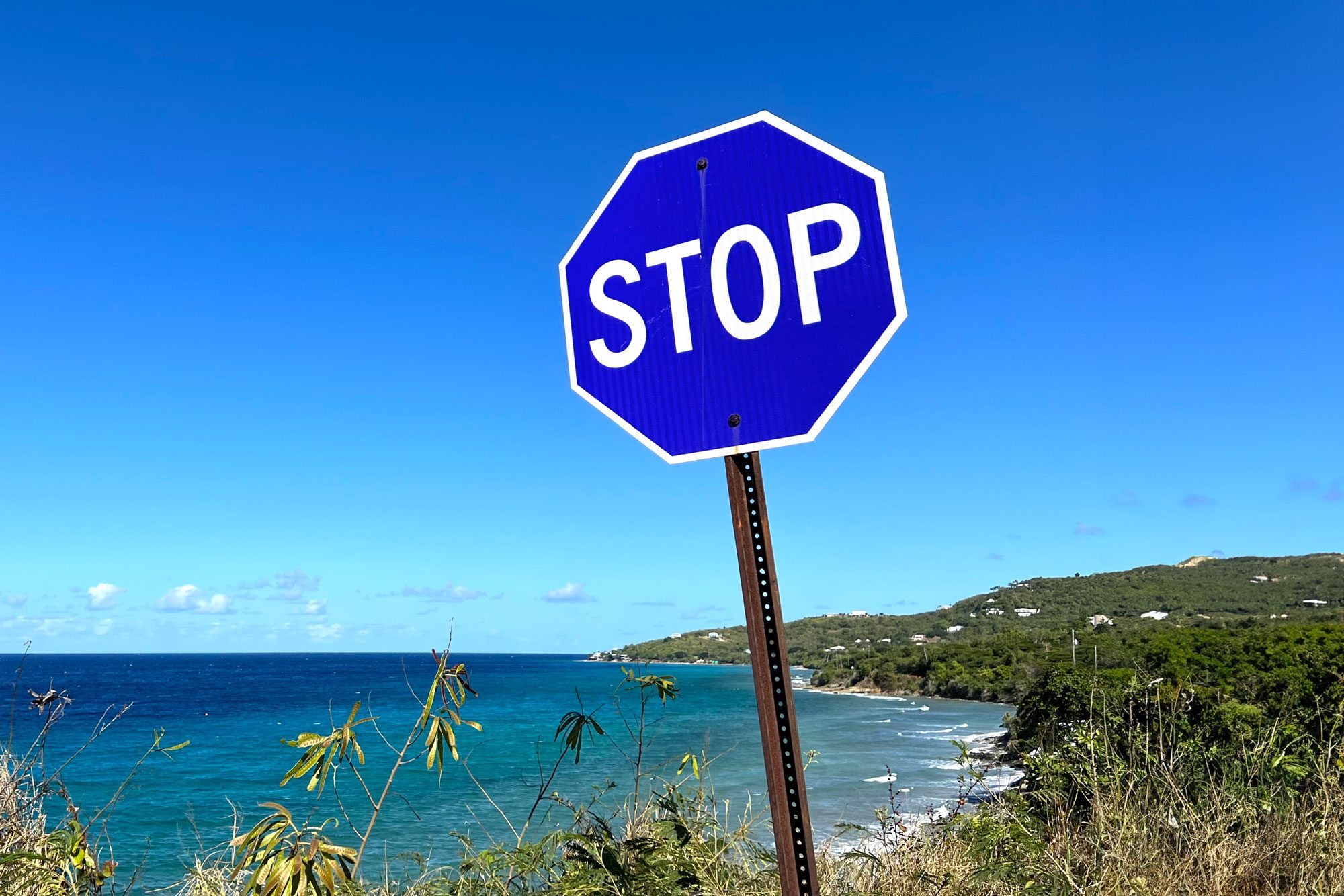 Blue Stop Sign
