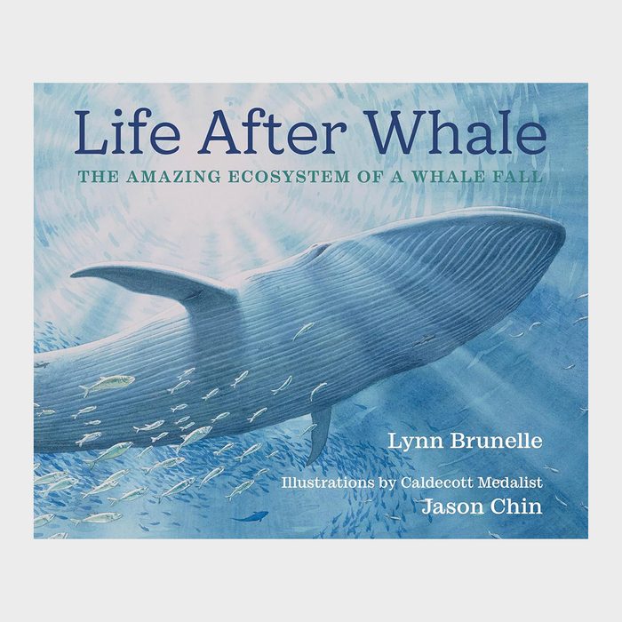 A large whale swims among small fish in the ocean; book cover text reads 