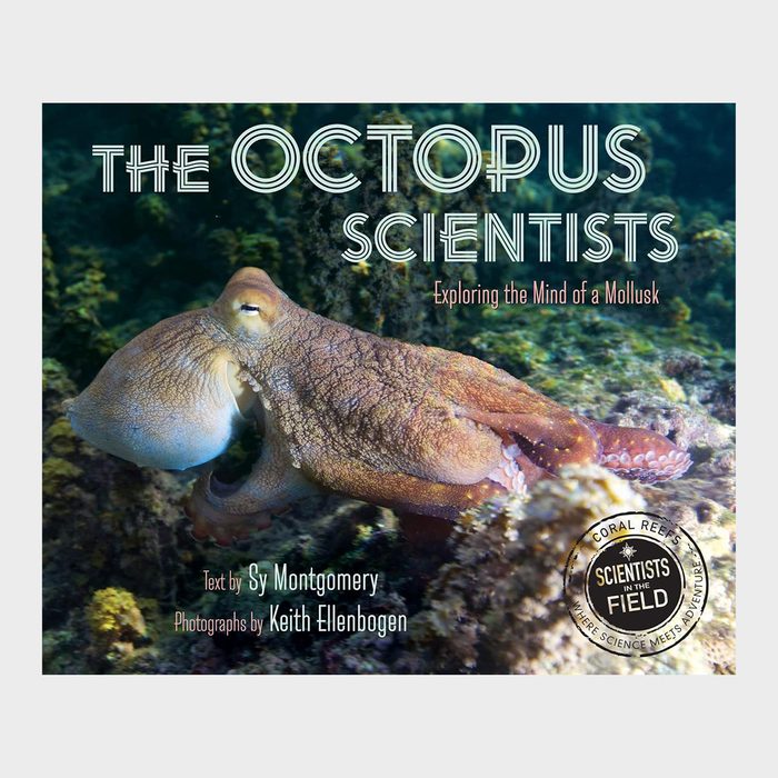 An octopus rests in clear water; coral reef visible around it. Text: 