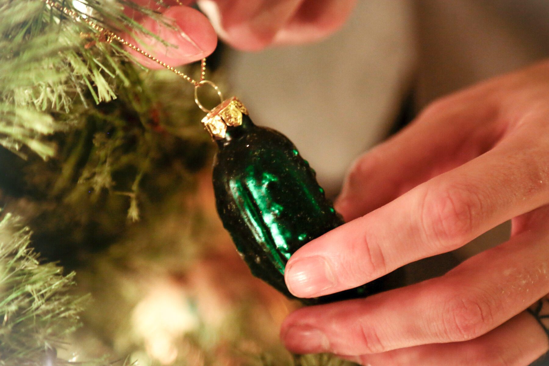 What's A Christmas Spider