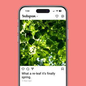 102 Spring Captions That Will Make Your Posts Pop Ft