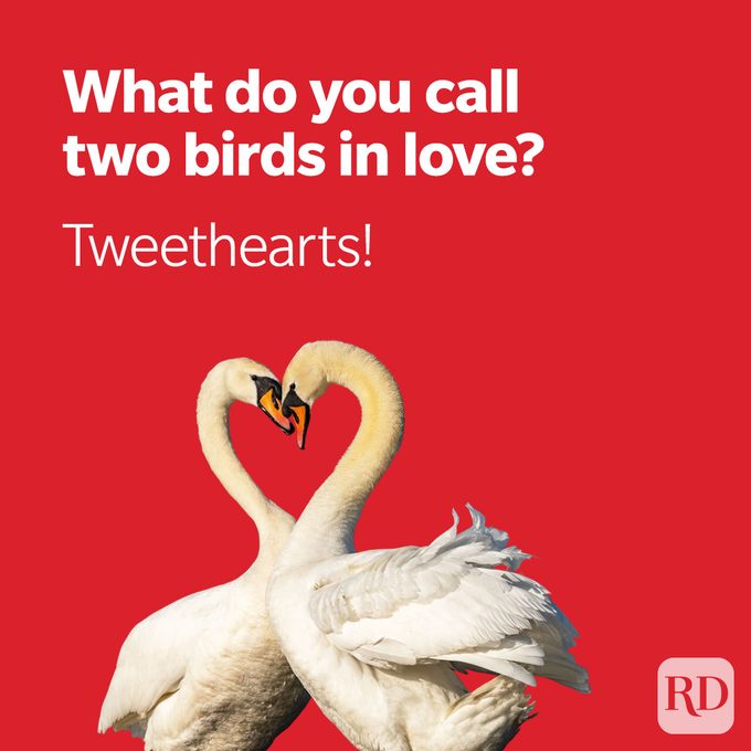 Funny Valentine's Day Jokes For Kids About Love