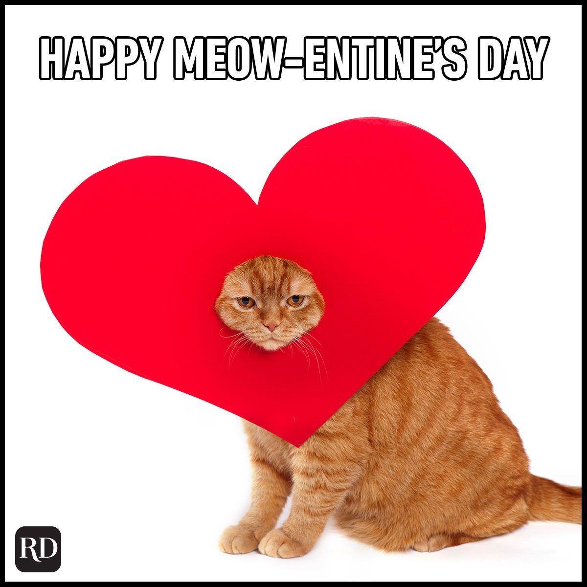 Funny Valentine’s Day Memes Everyone Can Relate To Gettyimages 917777070 Asedit 1 1