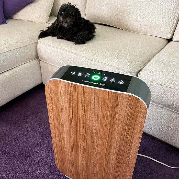 Alen Breathesmart 45i Hepa Air Purifier
