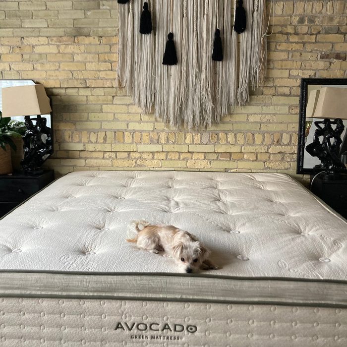 Rda25 Avocado Green Mattress Megan Wood 01 Ssedit
