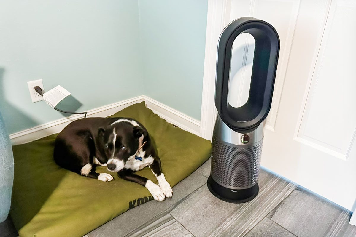 Dyson Purifier Hot Cool Purifying Fan Heater