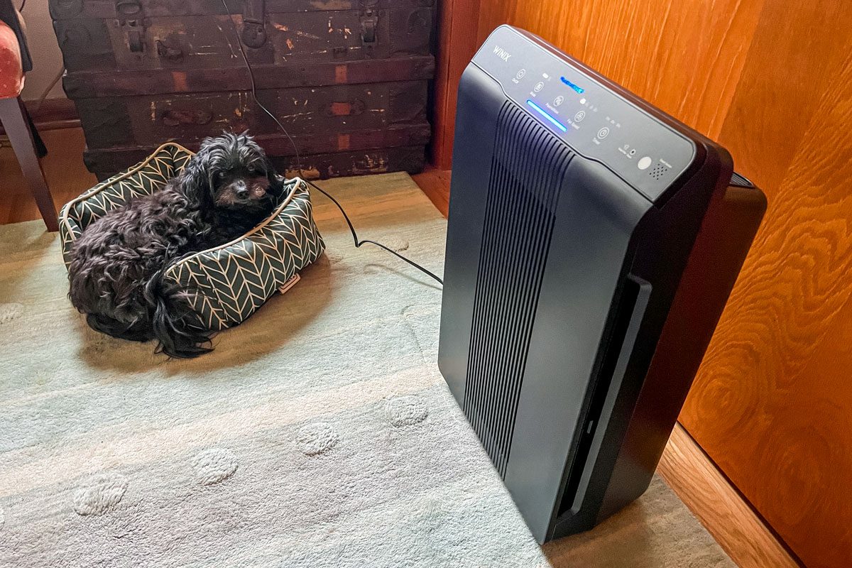 Winix 5500 2 Air Purifier