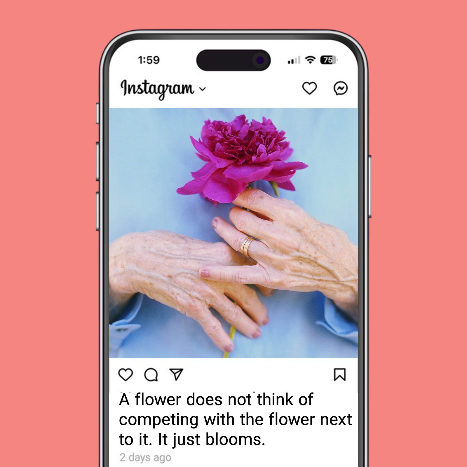 Spring Flower Captions