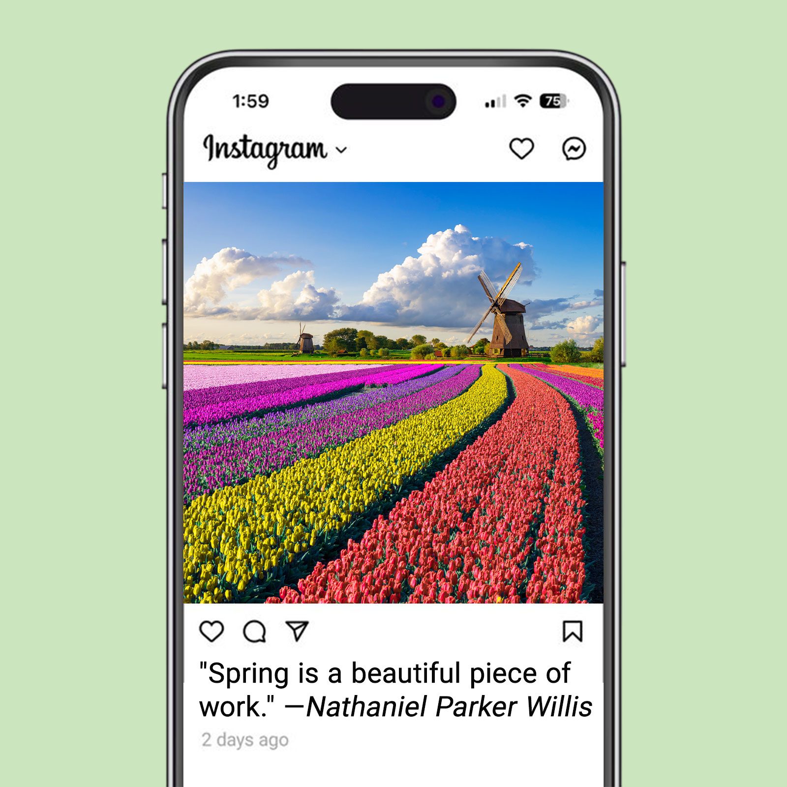 Spring Quotes As Spring Captions