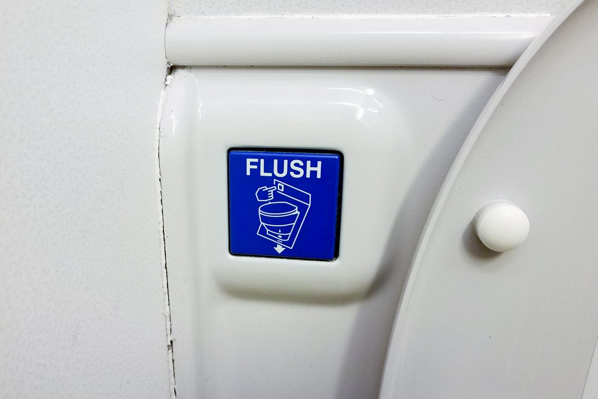 What Happens When You Flush An Airplane Toilet 