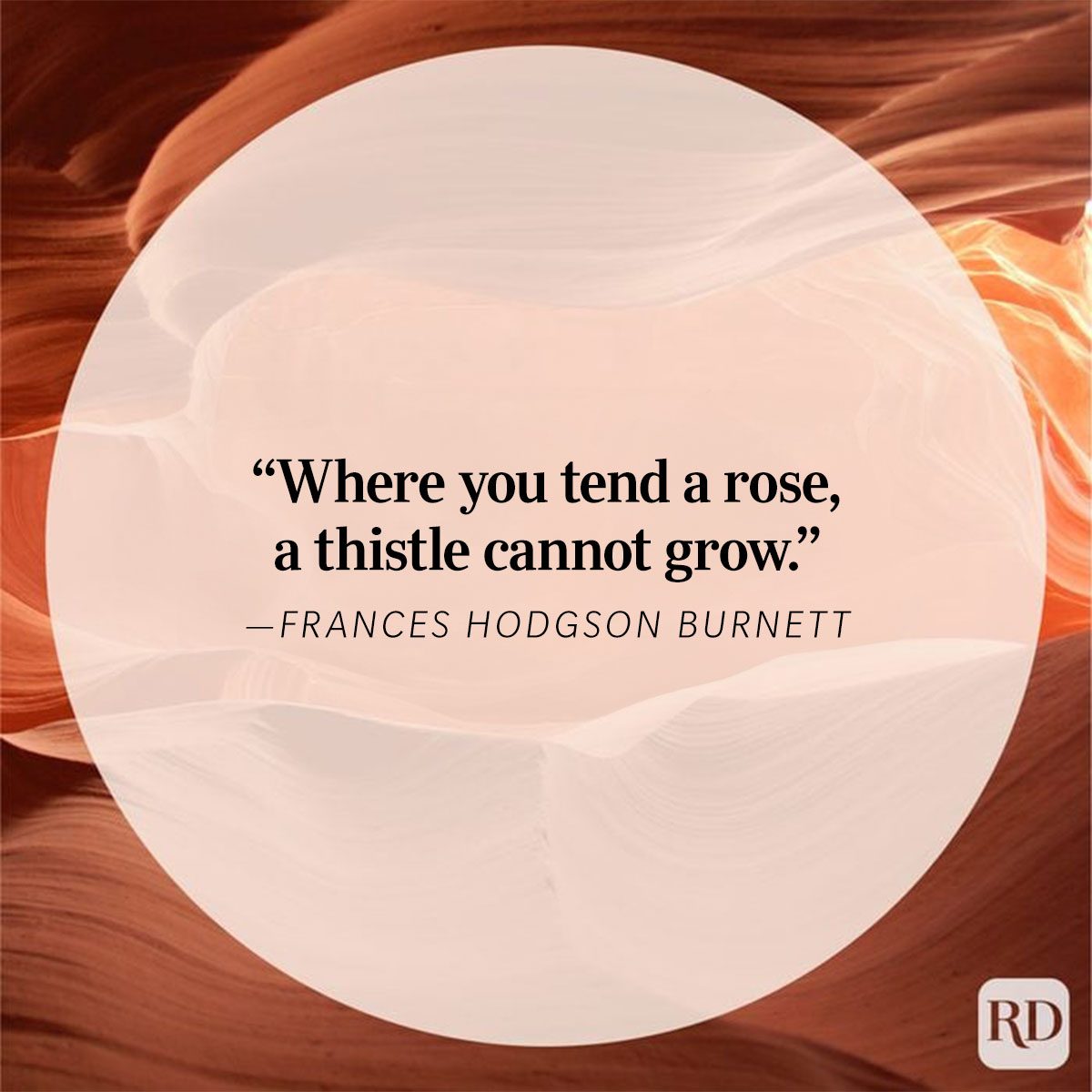 Nature Quote By Frances Hodgson Burnett