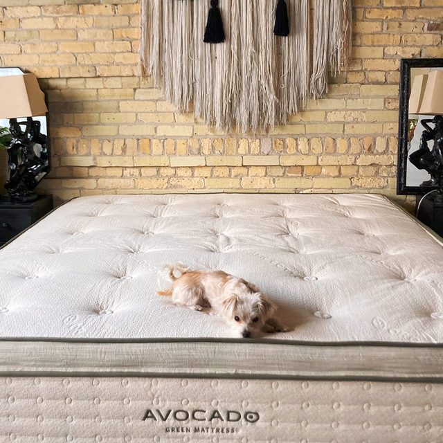Avocado Green Mattress Ft Megan Wood