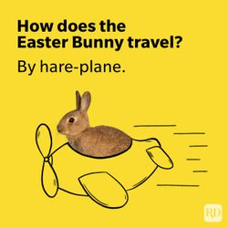 Easter Jokes That Will Crack Up Your Peeps