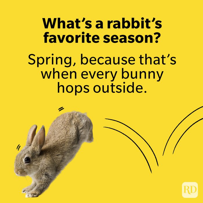 Easter Jokes For Kids