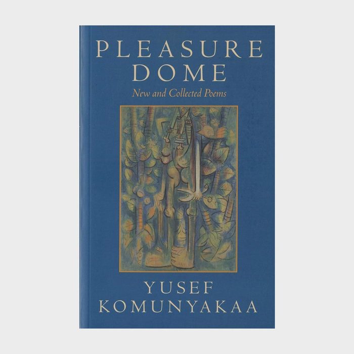 Great Poetry Books Pleasure Dome By Yusef Komunyakaa