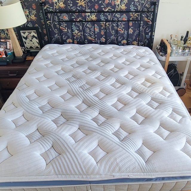 Rda23 Bear Mattress Allison Robicelli 01 Ssedit