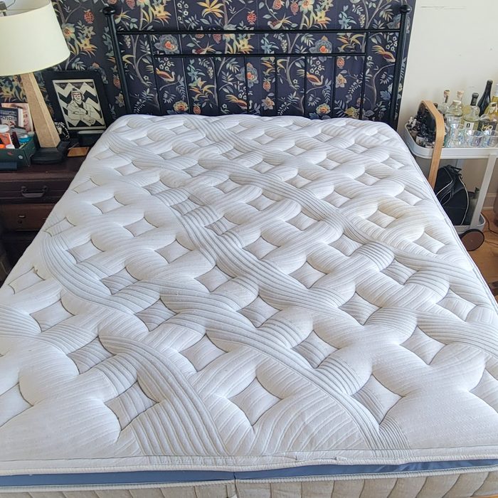 Rda23 Bear Mattress Allison Robicelli 01 Ssedit