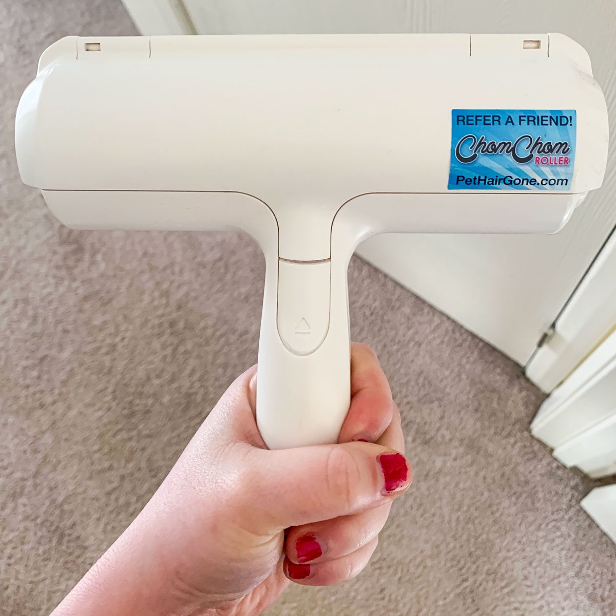 Getting Rid of Dog Hair In My Home Seemed Impossible—Until I Tried the ChomChom Roller