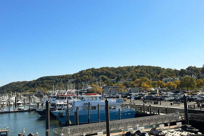 A marina featuring several docked boats under a clear blue sky. Cars are parked nearby, and a tree-covered hill is visible in the background. The scene is calm and sunny, with clear water in the harbor.