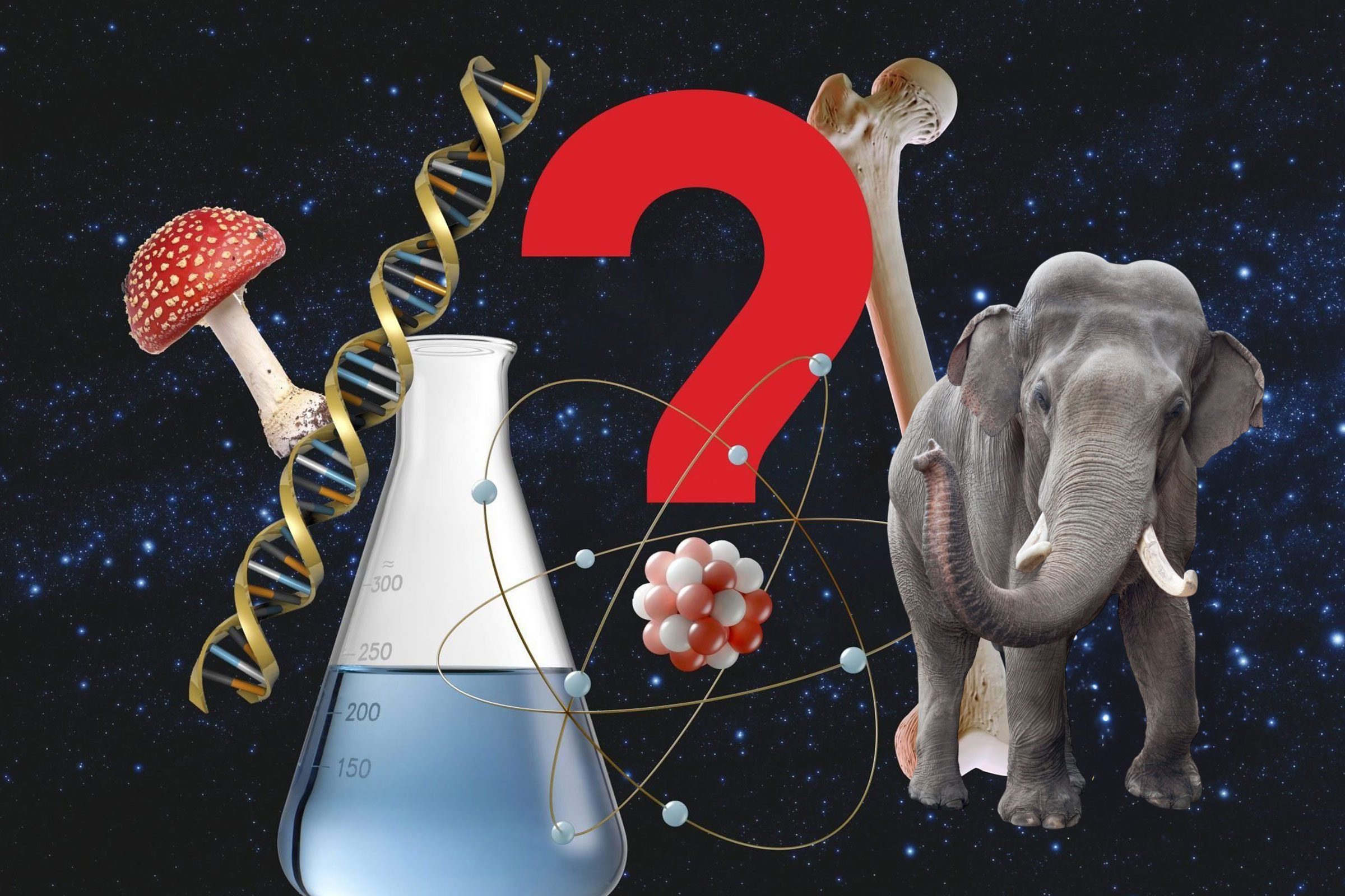 100 Tricky Science Trivia Questions—With Answers