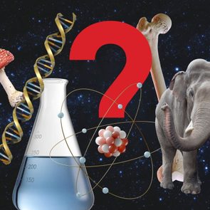 100 Tricky Science Trivia Questions With Answers