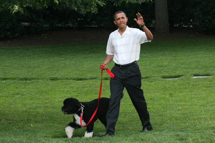 Barack Obama with his dog Bo