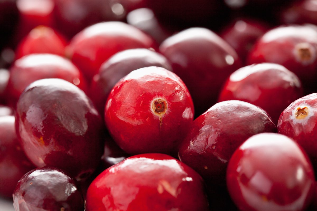 close up of cranberries