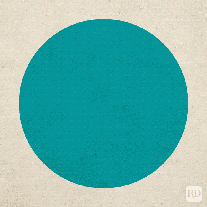 Animal Trivia Question Graphic