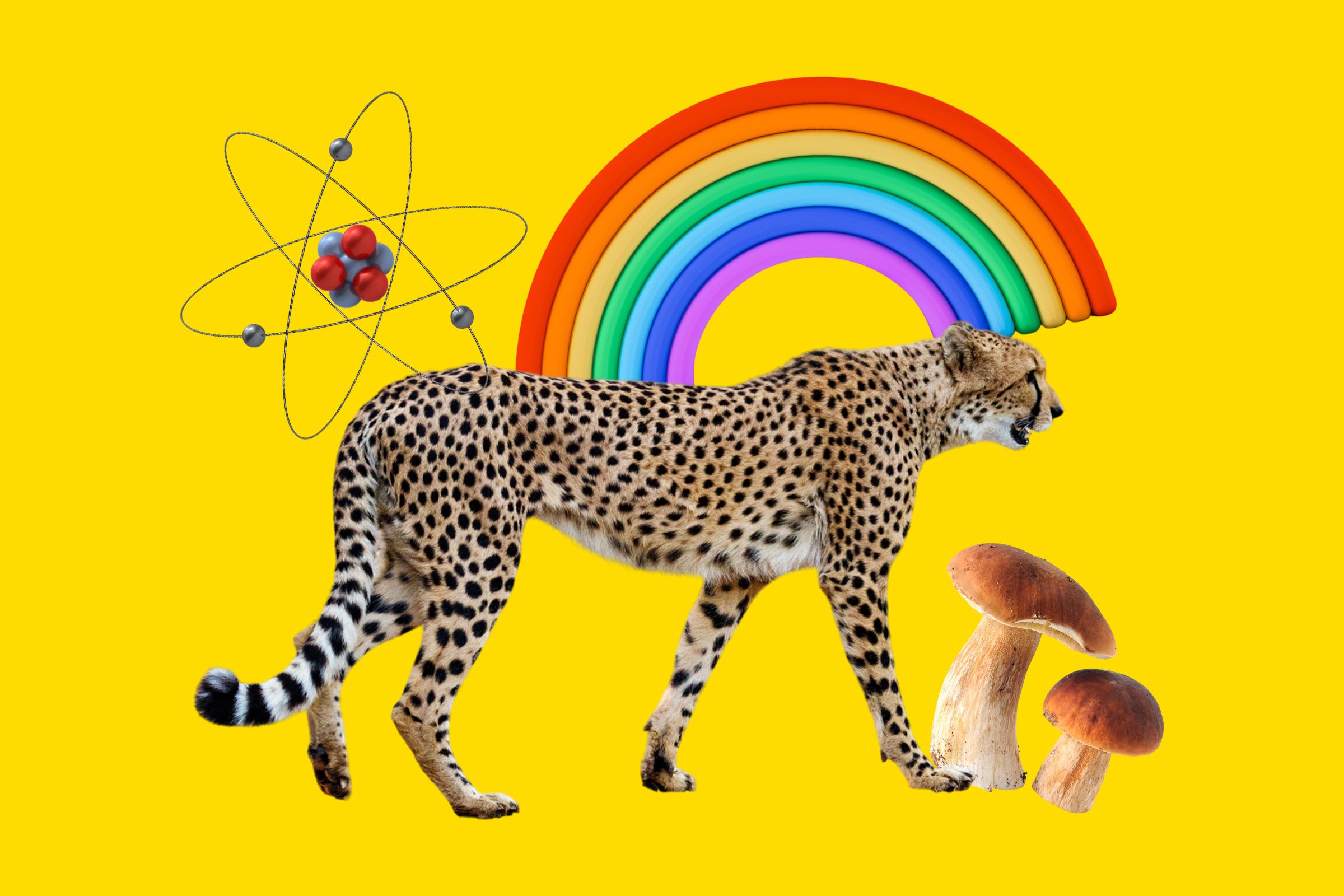 Easy Science Trivia Collage Graphic