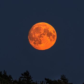 The rising moon looks like a red ball hanging in the sky