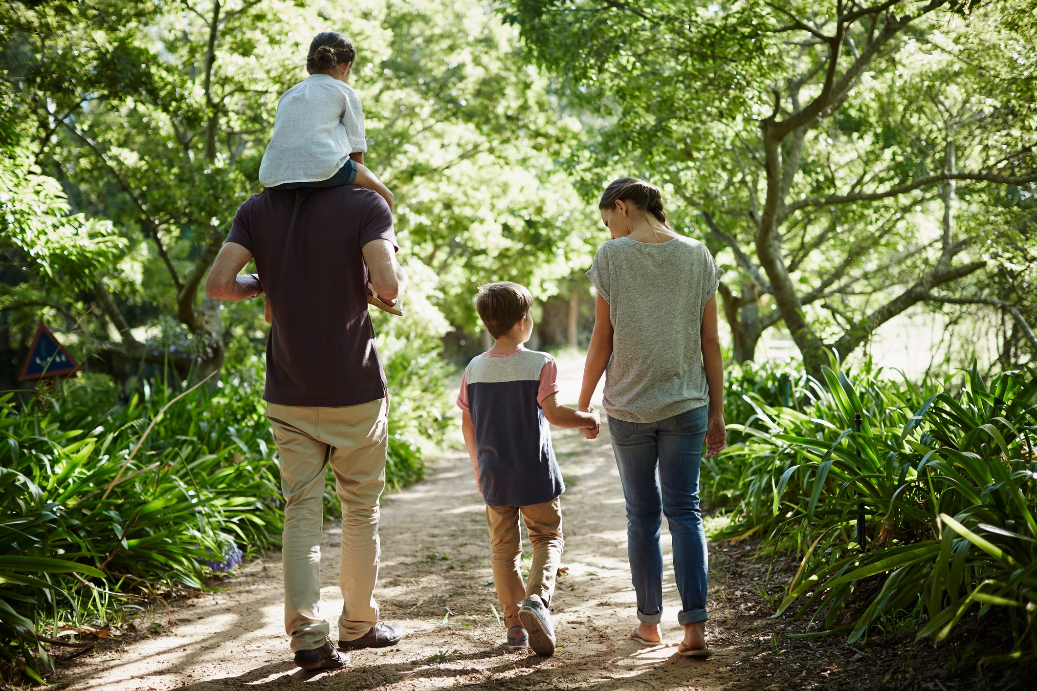Rear view of family walking in park