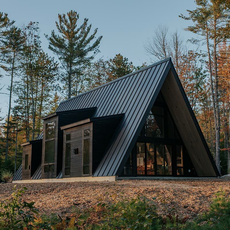 A-Frame cabin in pine forest