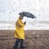 10 Weird Facts About Rain