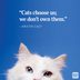 29 Cat Quotes Every Cat Owner Can Appreciate