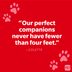 69 Comforting Pet Loss Quotes to Help You Grieve Your Furry Friend