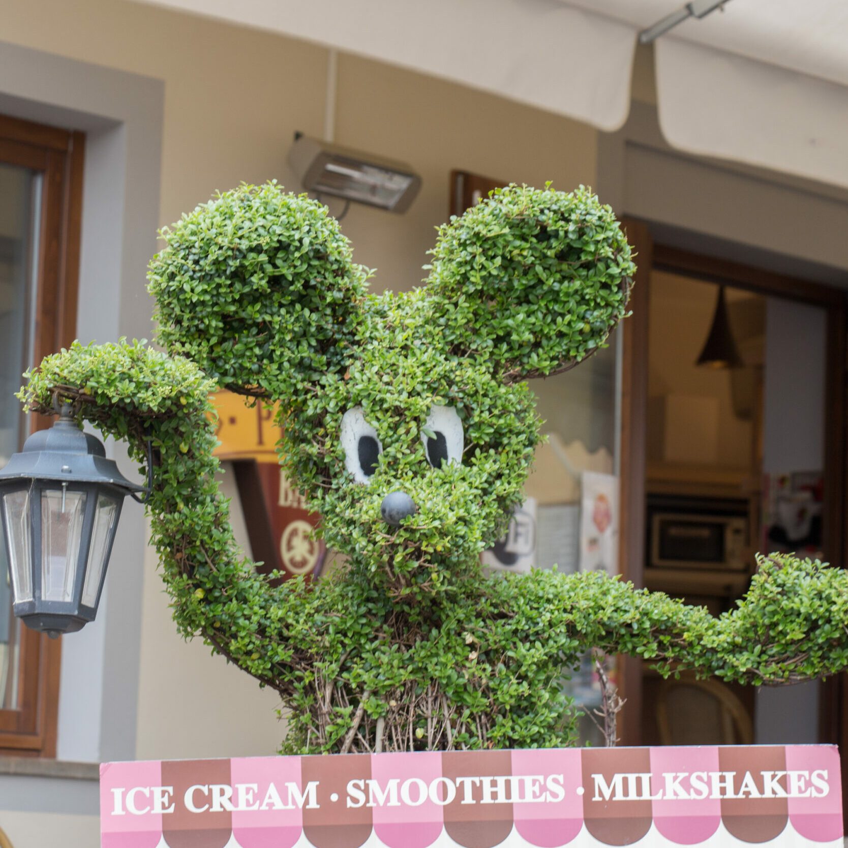 Mickey Mouse head shaped tree