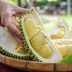 This Is the Worldâ€™s Stinkiest Fruitâ€”and Why It Smells So Bad