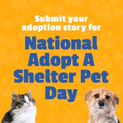 Tpc National Shelter Pet Day 1x1 (1)