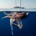 14 Mysteries of the Ocean Scientists Still Can't Explain